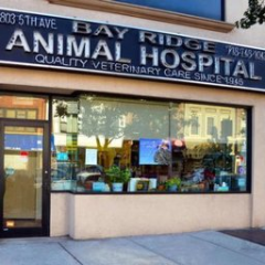 Bayridge Animal Hospital