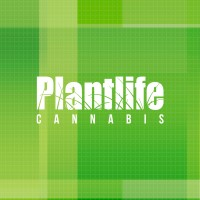 Plantlife Cannabis
