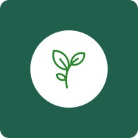 Vine Recruiting