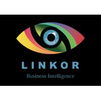 Linkor Business Intelligence